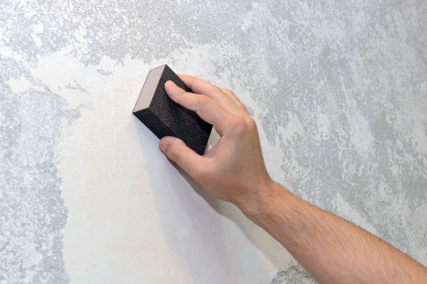  Warren Park, IN Mold Removal Pros