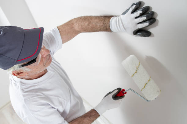 Best Comprehensive Air Testing for Mold Contaminants  in Warren Park, IN