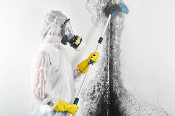 Best Air Quality Testing for Mold Spores  in Warren Park, IN
