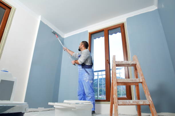 Best Attic Mold Removal  in Warren Park, IN