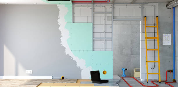 Reliable Warren Park, IN Mold Removal Solutions