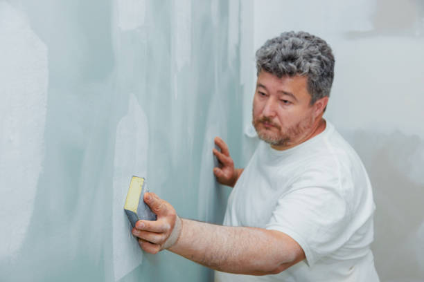 Best Mold Damage Restoration  in Warren Park, IN