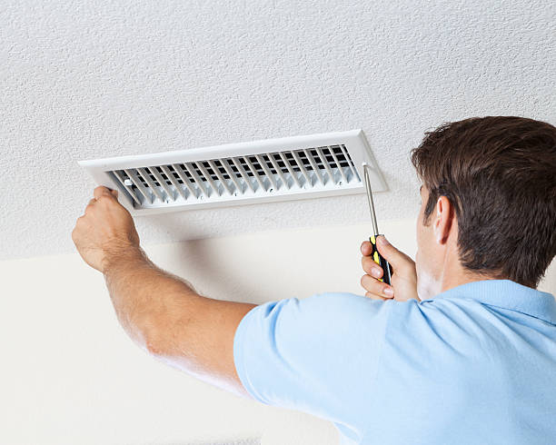 Best Mold Remediation for Vacation Homes  in Warren Park, IN