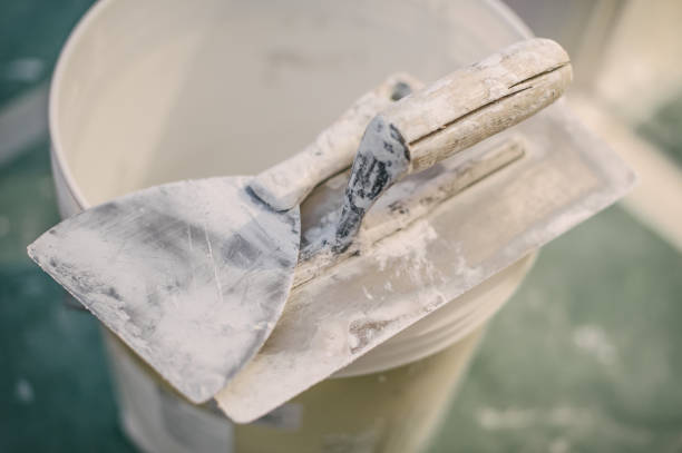 Best Mold Prevention Services  in Warren Park, IN